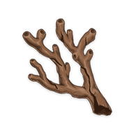 coral-branch-of-a-distant-sea