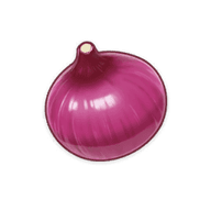onion