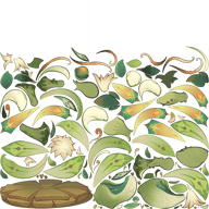 cardface-char-monster-fungusgrass