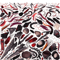 c261-cover-00