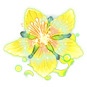 flower-of-eternity
