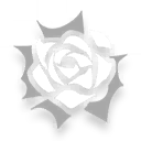 SkillIcon_Argenti_Ultra02