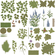 T_Envi_Kxjq_Plant_02b_D