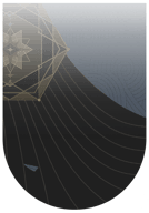 T_CardPolygon_1