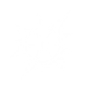 T_IconDevice_AnkeM6_UI