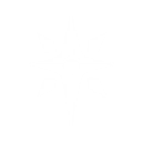 T_IconDevice_nannvzhuM6_UI