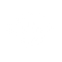 T_IconMotefeiQTE_UI