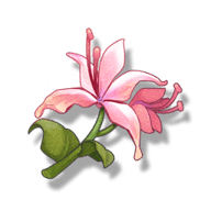 T_IconRup_SM_Gat_18A_UI