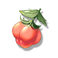 T_IconRup_SM_Gat_23A_UI