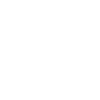 IconAnomaly