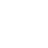 IconFailed