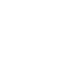 IconScan