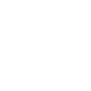 IconTalent_CoinRaise