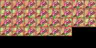 Gacha_Bangboo_06