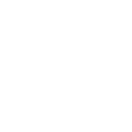 Icon_Combat_03